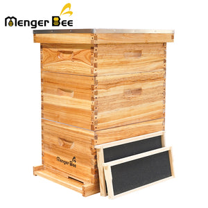 10 frame bee hive