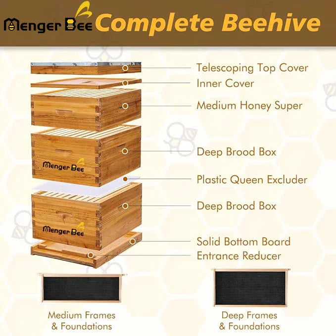 Wholesale(10 sets)10 frame bee hive(2 Deep & 1 Super)includes beehive frame and beeswax-coated foundation sheets. 100% beeswax-coated beehive