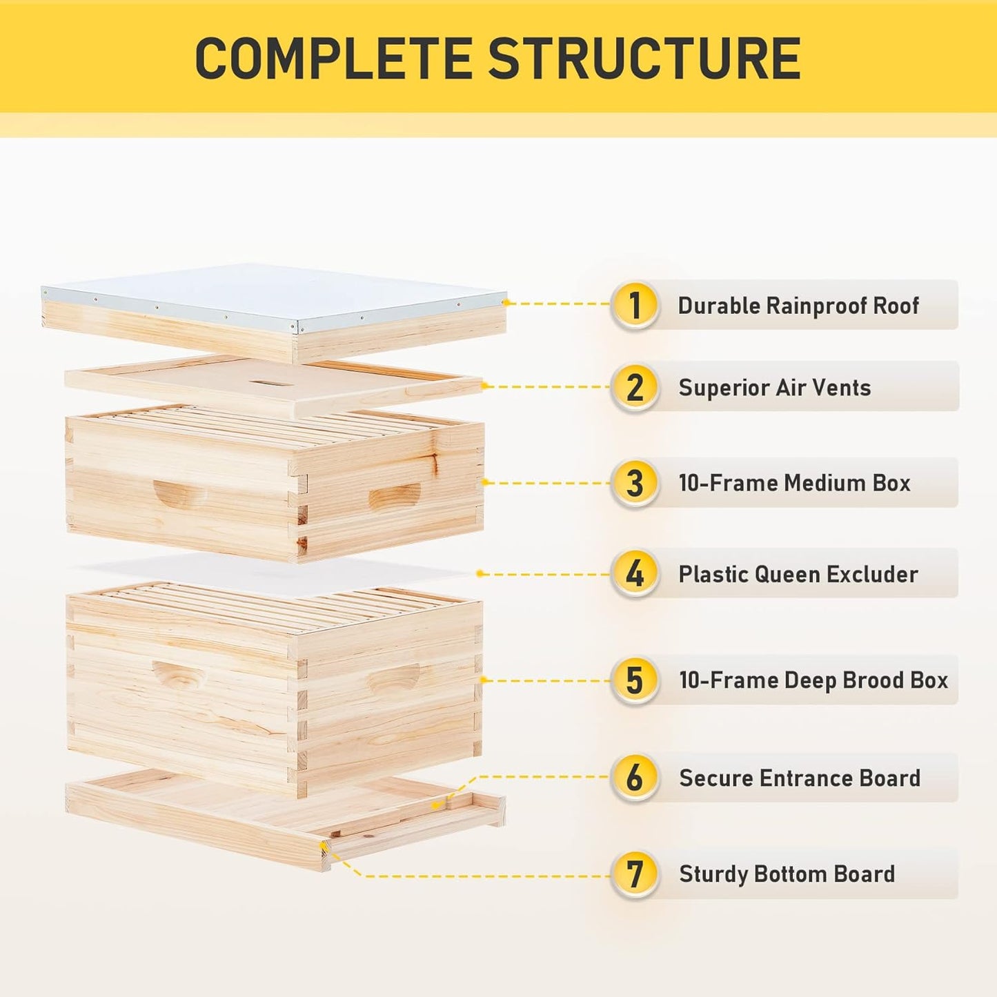10-Frame Deep and Medium beehive box