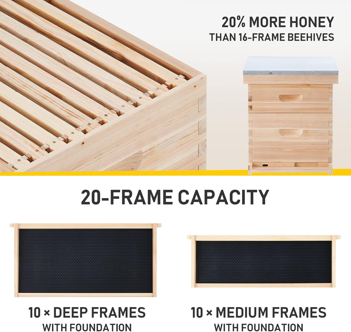 10-Frame Deep and Medium beehive box