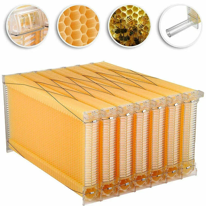 Flowing Hive With 7 Pcs Frames