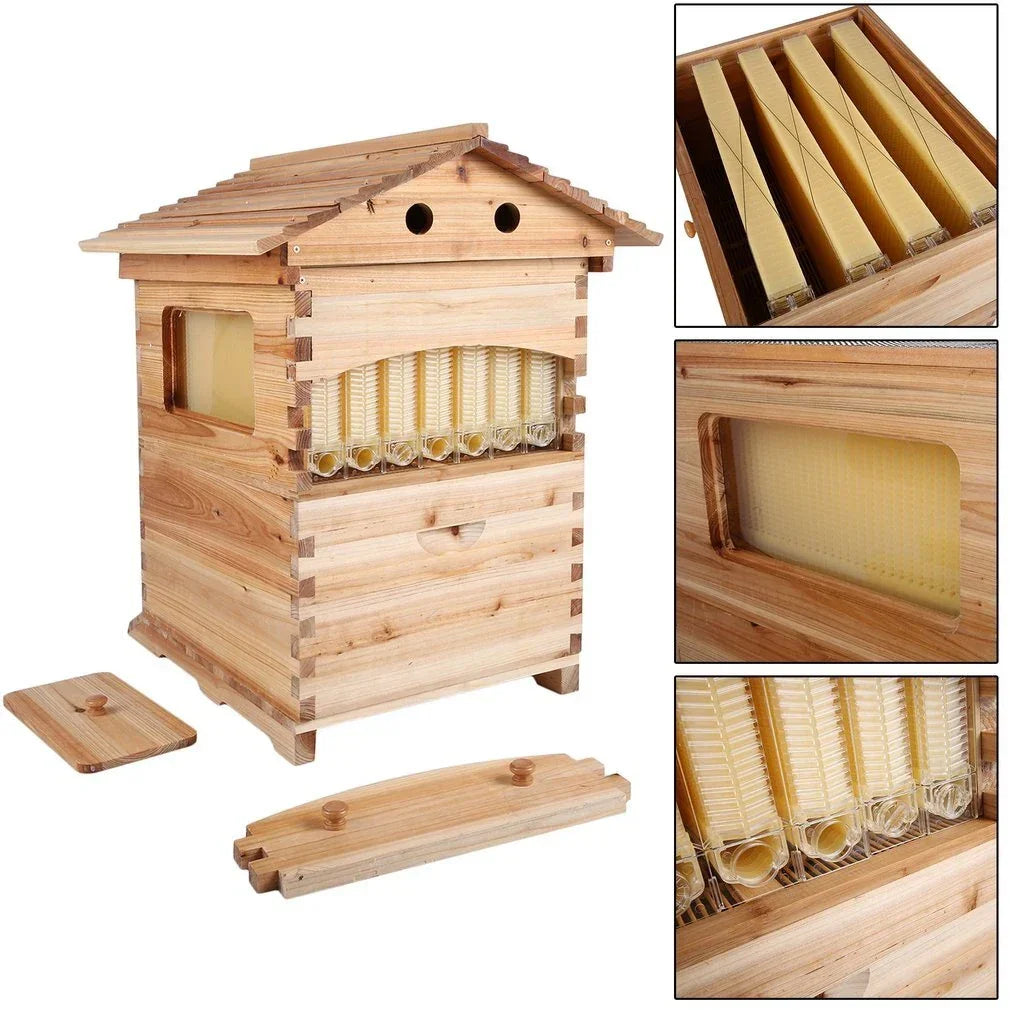 Why Choose Flow Hive Beekeeping Over Traditional Methods?