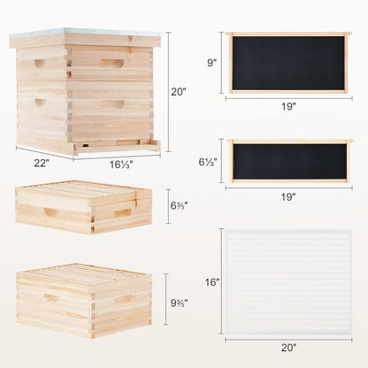 10-Frame Deep and Medium beehive box