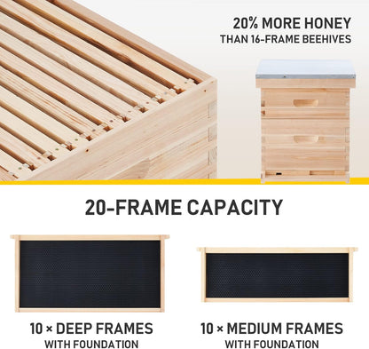 10-Frame Deep and Medium beehive box