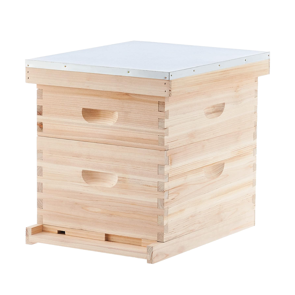 10-Frame Deep and Medium beehive box