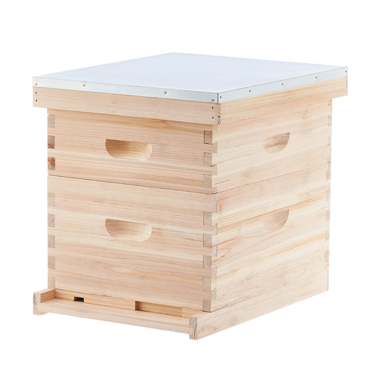 10-Frame Deep and Medium beehive box