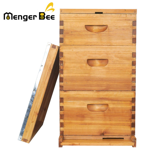 10 frames Langstroth beehive