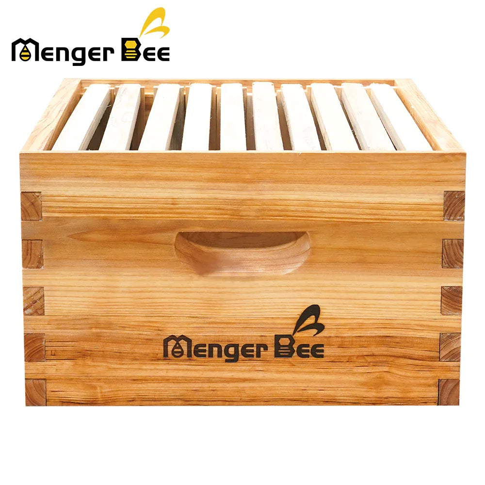 Brood super box set (unassemnbled)